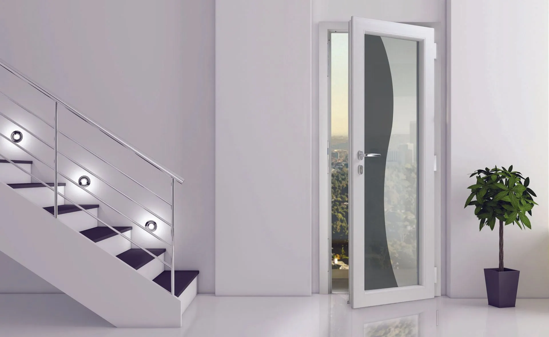 Portes grand vitrage