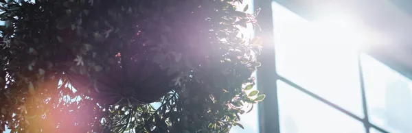 Les 3 protections solaires qui garantissent une grande luminosité à la maisonPour se protéger sans obstruer la lumière !