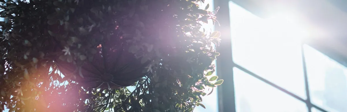 Les 3 protections solaires qui garantissent une grande luminosité à la maisonPour se protéger sans obstruer la lumière !