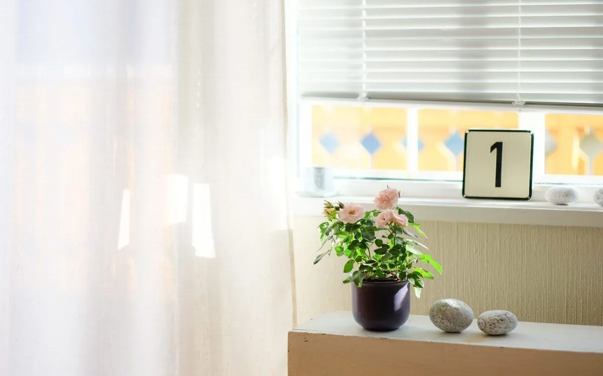 Stores et facteur solaire : tout savoir !