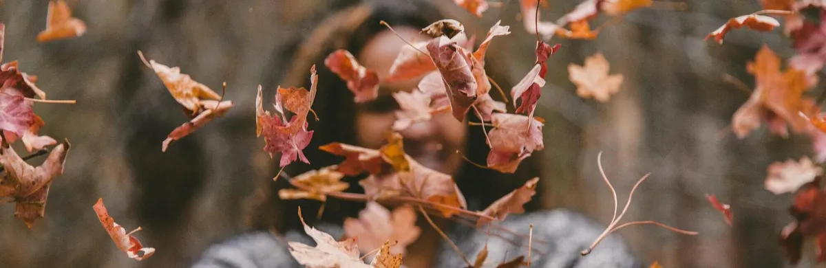 To-do list de l’entretien à réaliser sur votre terrasse durant l’automnePrendre le temps d’entretenir son espace extérieur