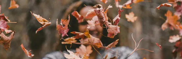 To-do list de l’entretien à réaliser sur votre terrasse durant l’automnePrendre le temps d’entretenir son espace extérieur